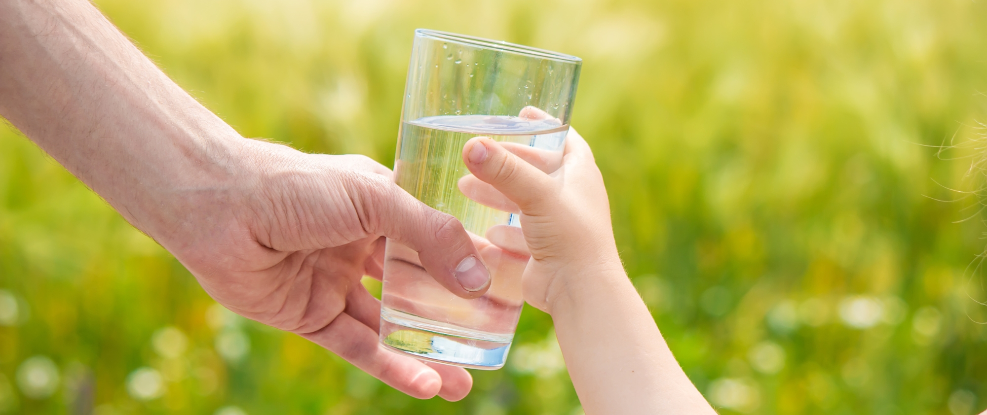 Découvrez pourquoi et comment magnétiser votre eau de boisson